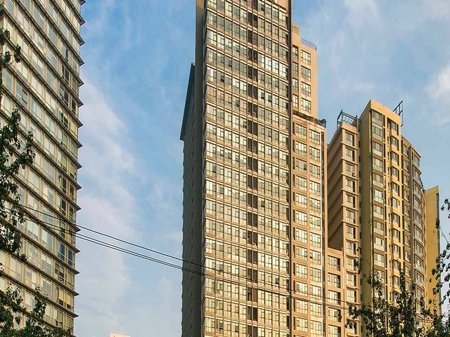 台州市室外仿真植物价格